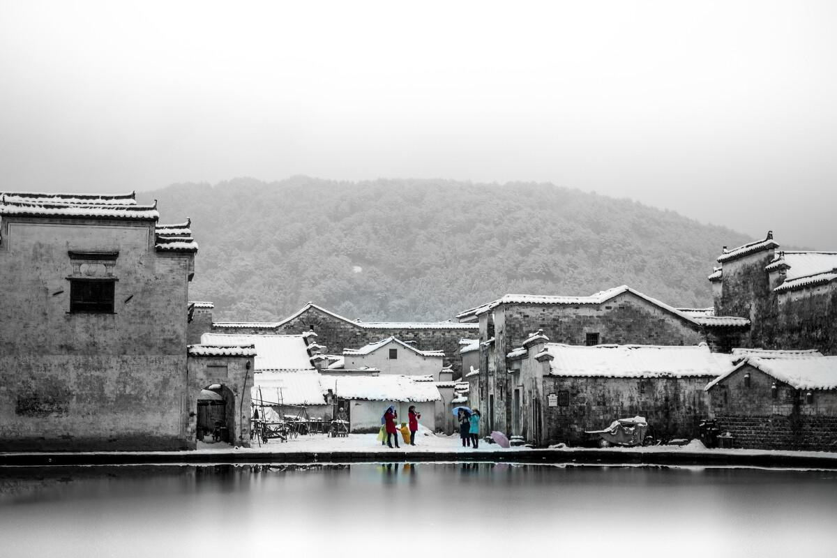 饥饿的松鼠救援